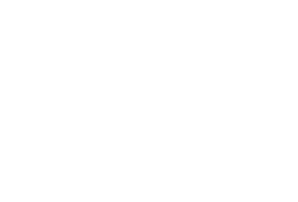 BEST ART, IGDN