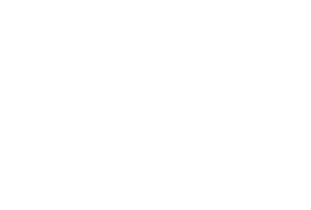 Game of the Year, IGDN WINNER